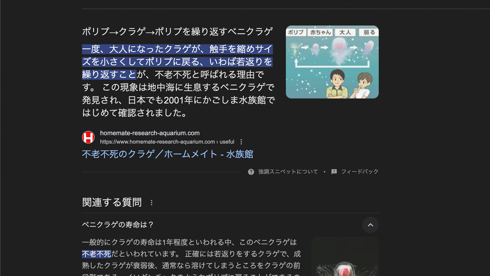 どのようなことを調べましたか？本やネット等、何を使って調べたか。場所や物、事柄を具体的にお書きください。