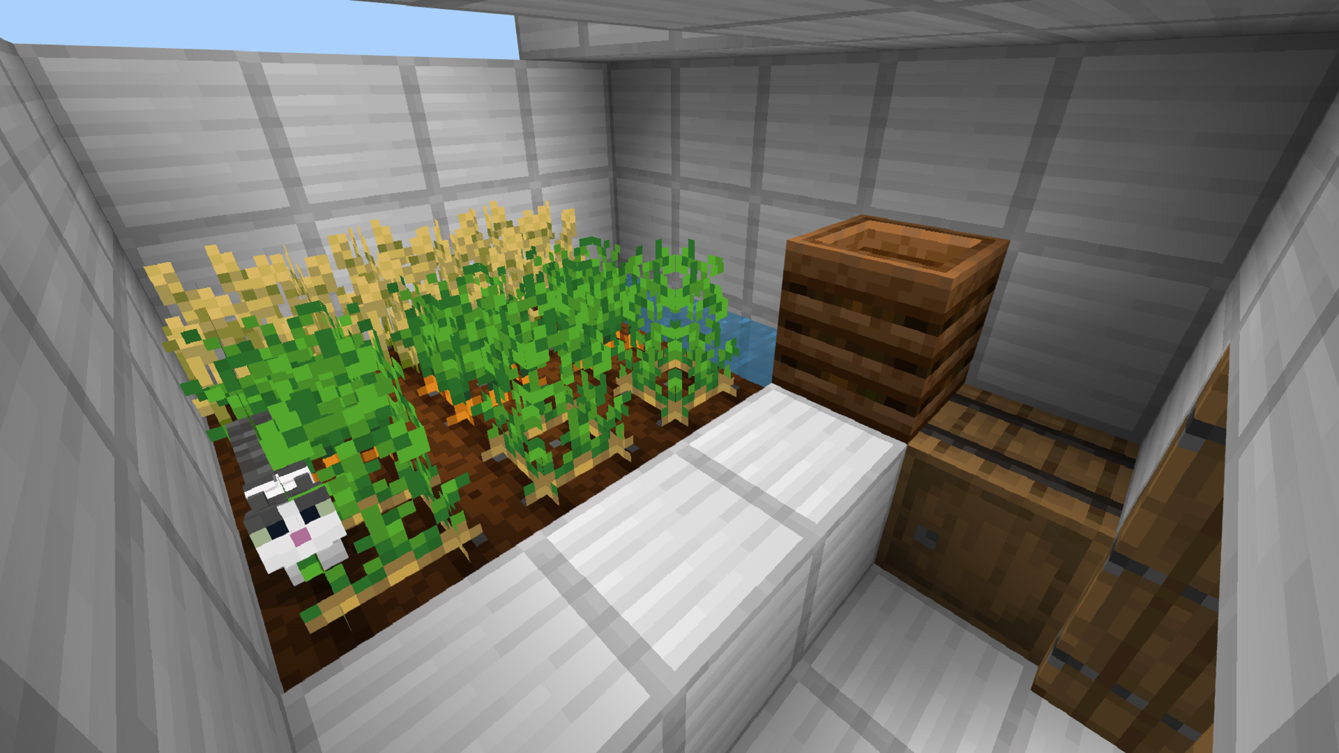 どのような計画をたてて制作をすすめたか