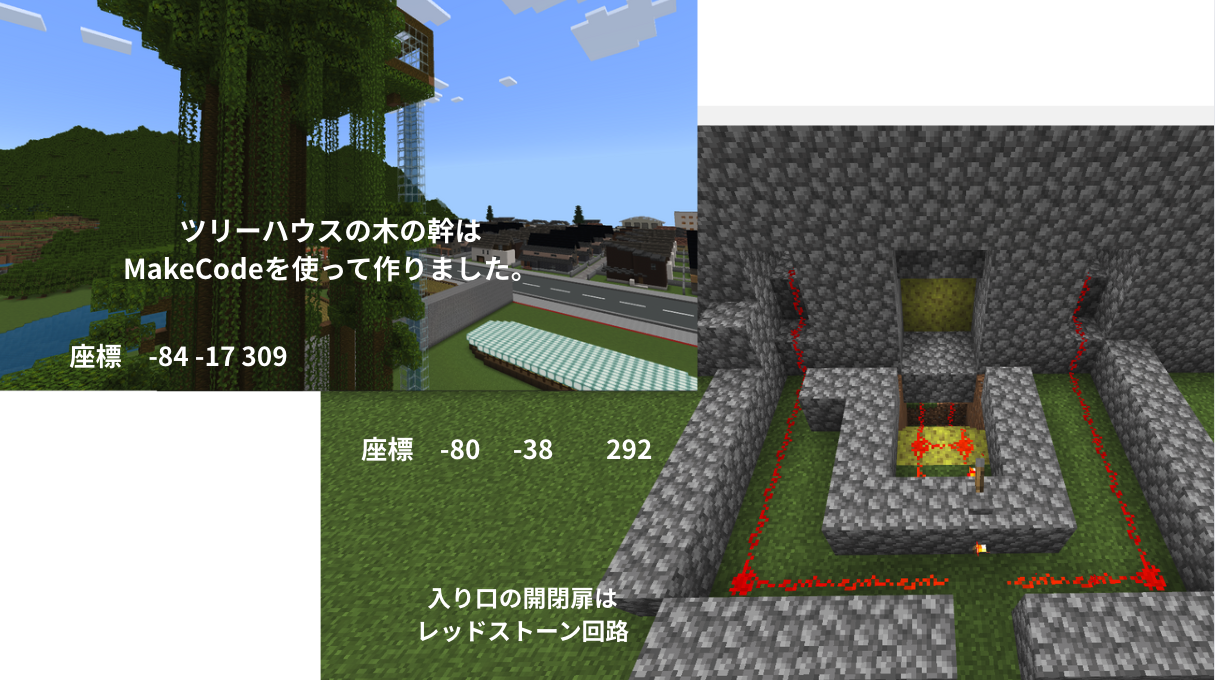 どのようなことを調べたか