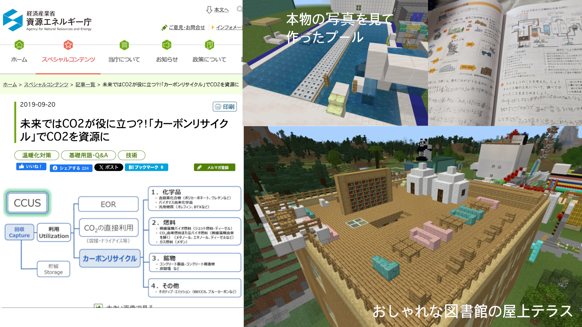 どのようなことを調べましたか？本やネット等、何を使って調べたか。場所や物、事柄を具体的にお書きください。