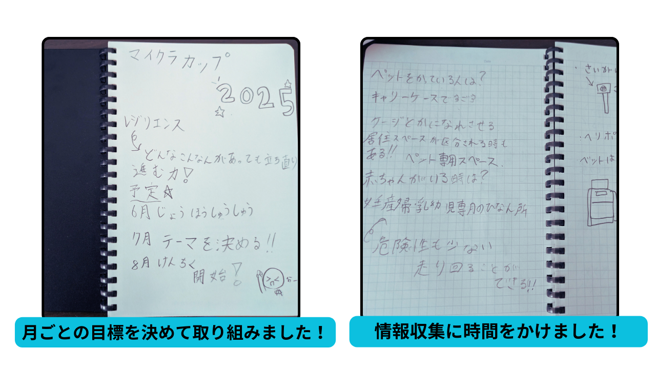 プログラミングなどを、どのように使ったか