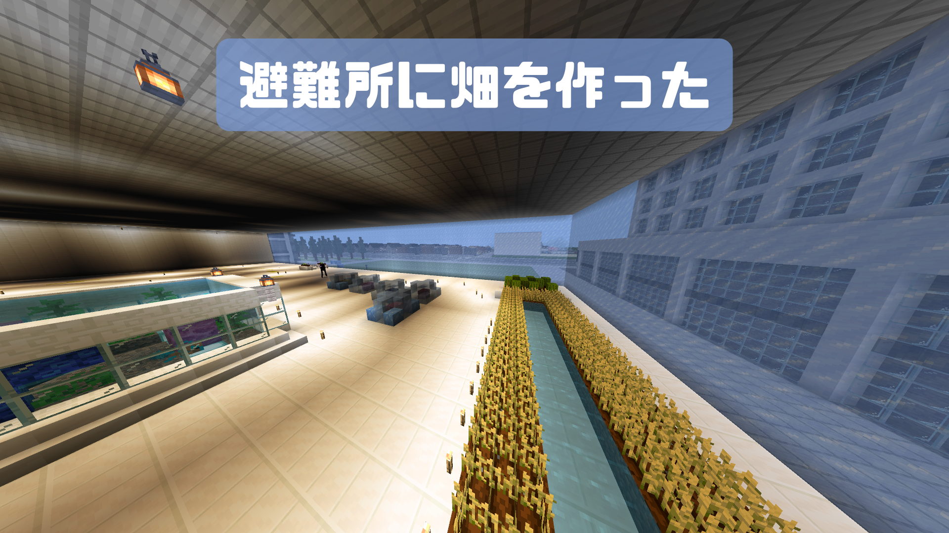 作品の中で注目してみてほしいところ