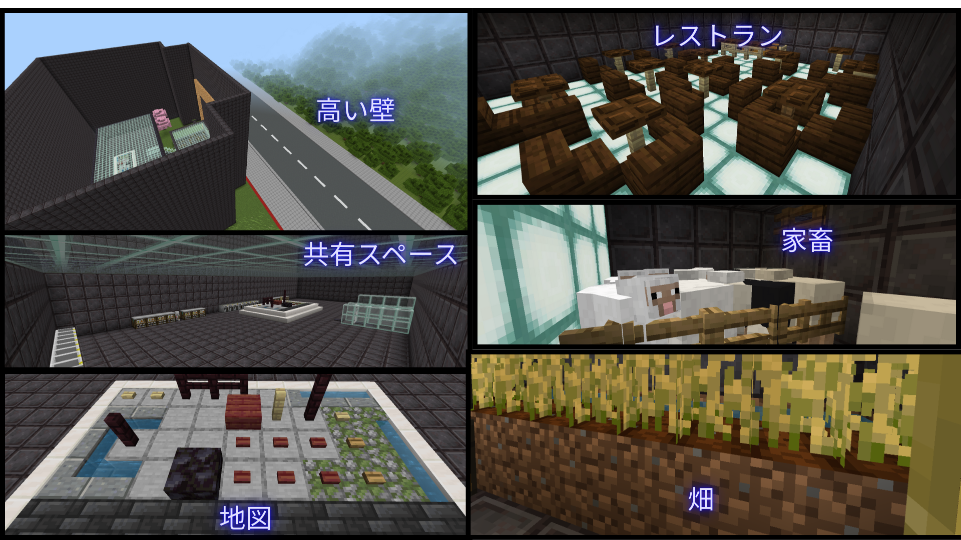 どのような計画をたてて制作をすすめたか