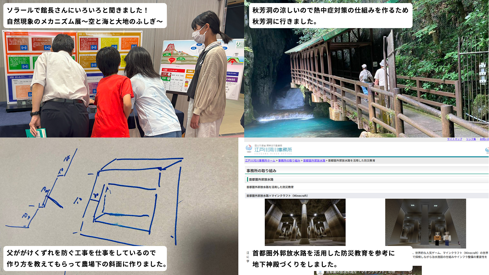 どのようなことを調べましたか?本やネット等、何を使って調べたか。場所や物、事柄を具体的にお書きください。