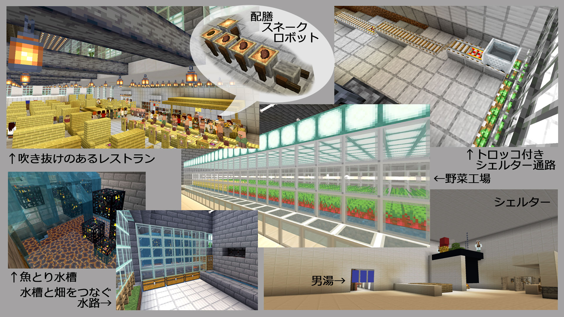作品の中で注目してみてほしいところ