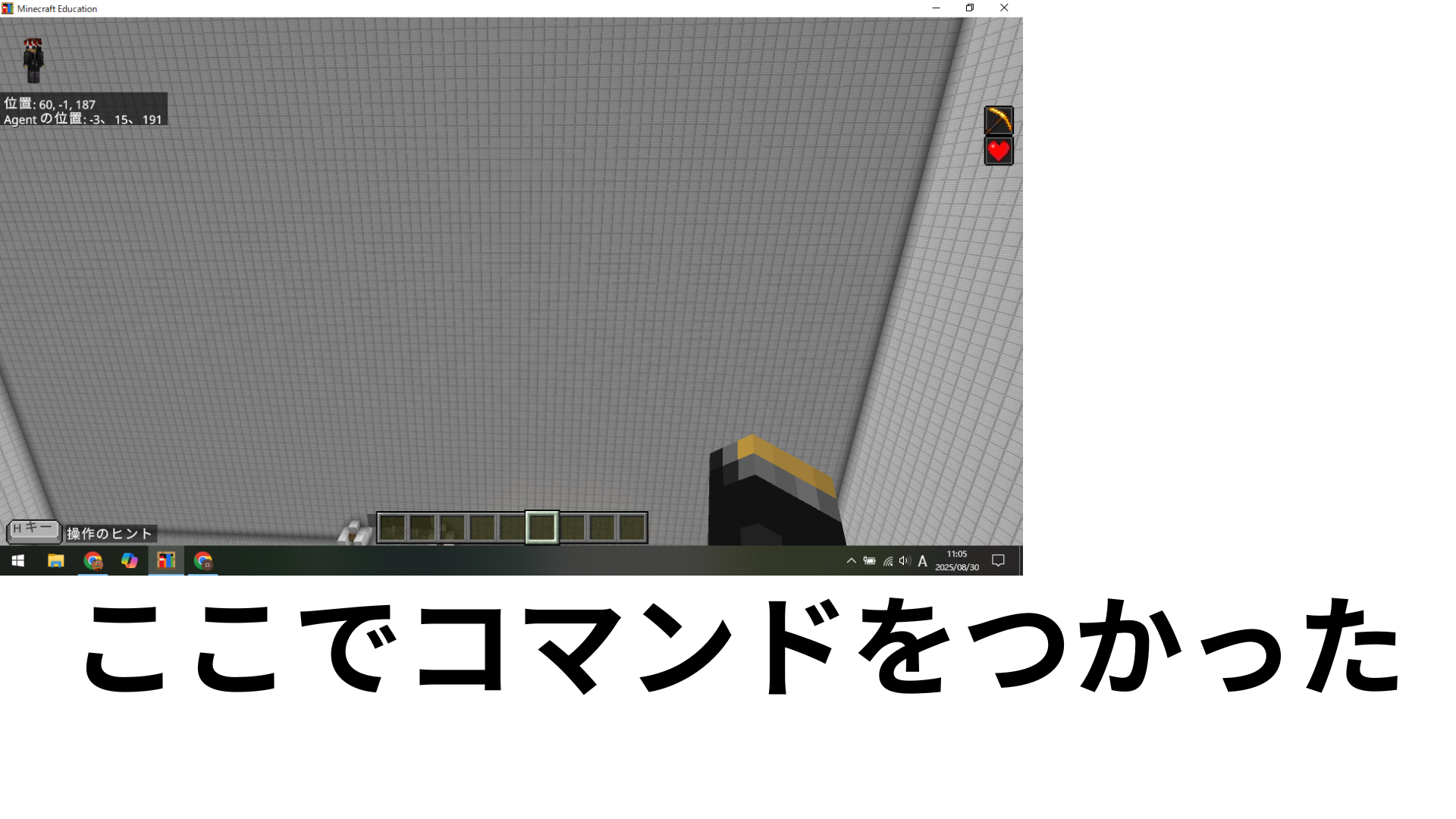 どのようなことを調べたか